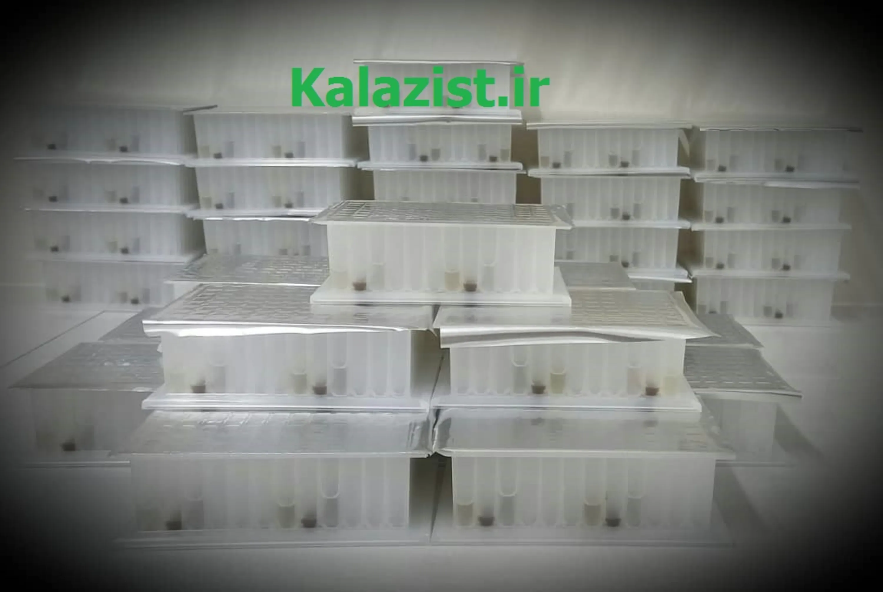 Magnetic Based cfDNA extraction Kit, Plate format Magnetic Based cfDNA extraction Kit, Plate format